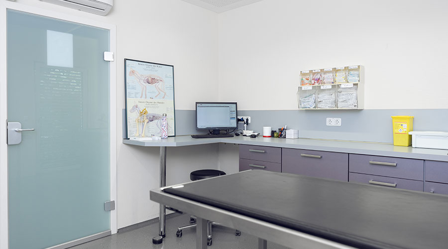 Behandlungsraum, Untersuchungsliege, Computer auf Tisch, Poster mit Skelettabdruck, Schubladen mit medizinischer Ausrüstung, sterile Umgebung.